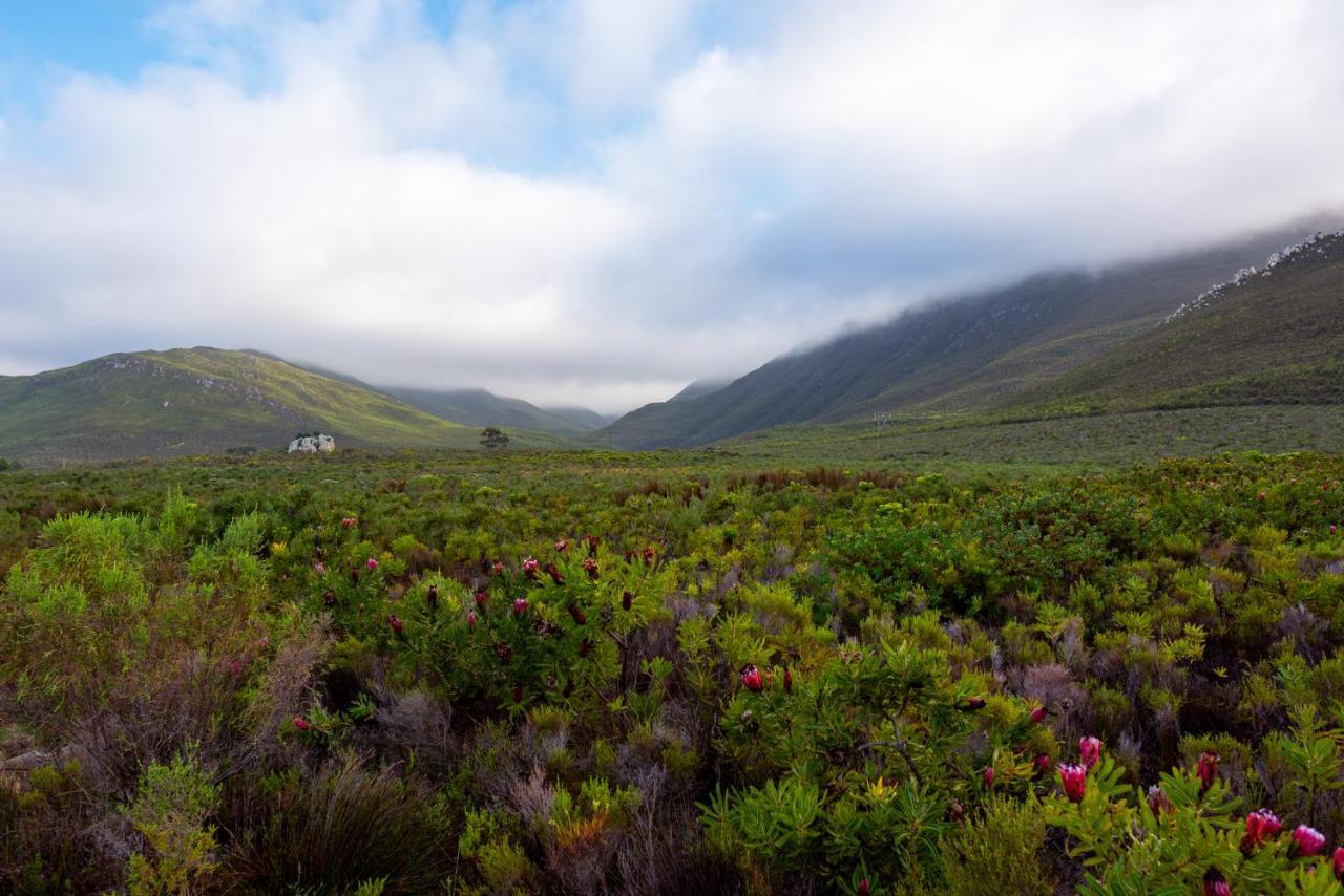Honeyrock Cottages Kleinmond Bagian luar foto
