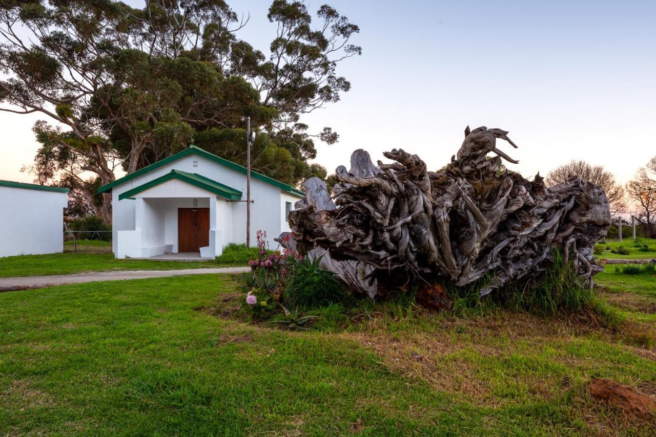 Honeyrock Cottages Kleinmond Bagian luar foto