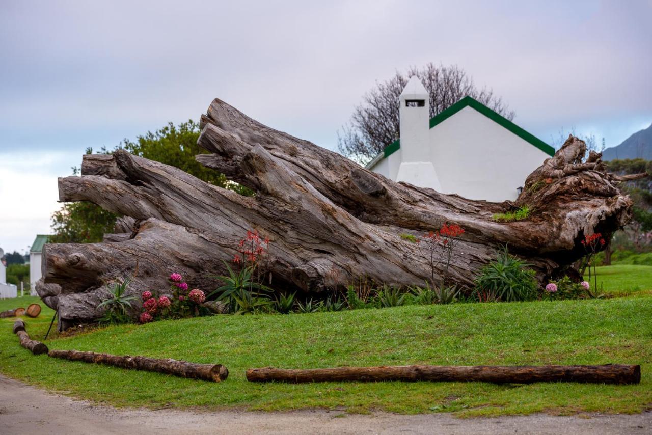 Honeyrock Cottages Kleinmond Bagian luar foto